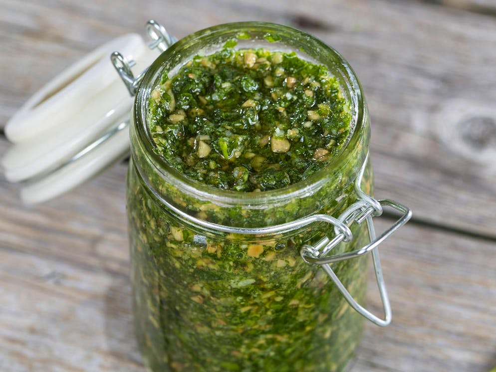 Garlic mustard, Hedge Garlic, Jack-by-the-Hedge (Alliaria petiolata), pesto is made from Hedge Garlic
When: 20 Apr 2016
When: 20 Apr 2016
**Only for use by WENN CPS**