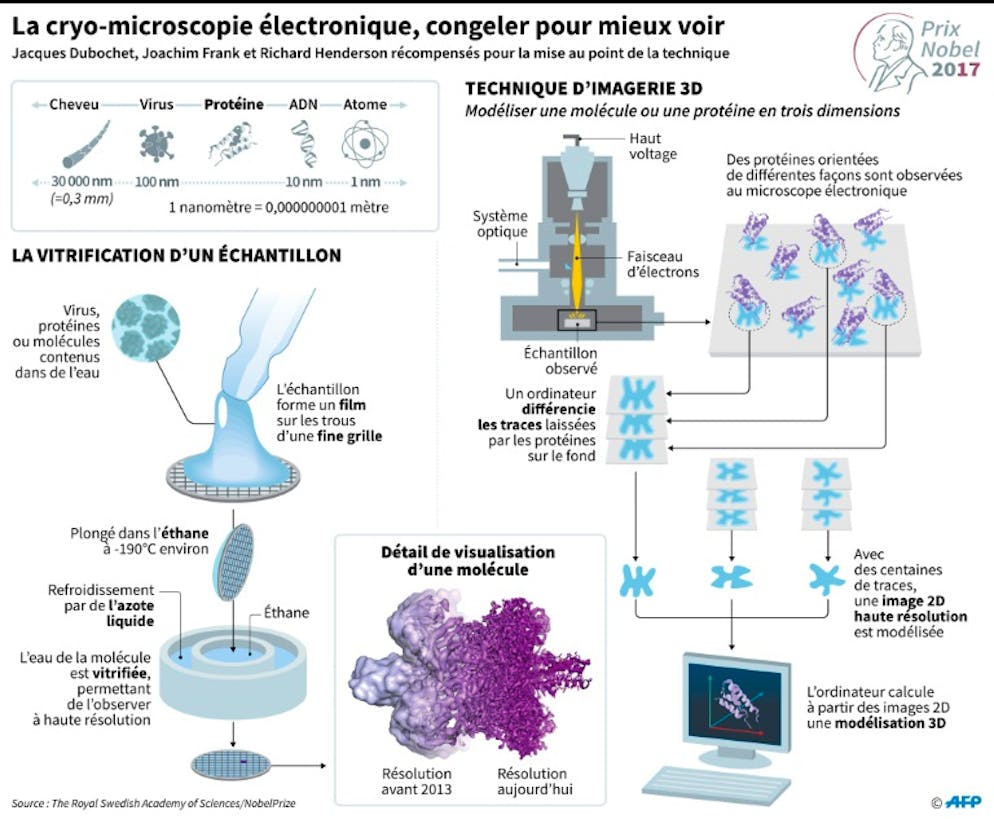 Congeler pour mieux voir: le Nobel de chimie à un Suisse, un Américain et un Britannique