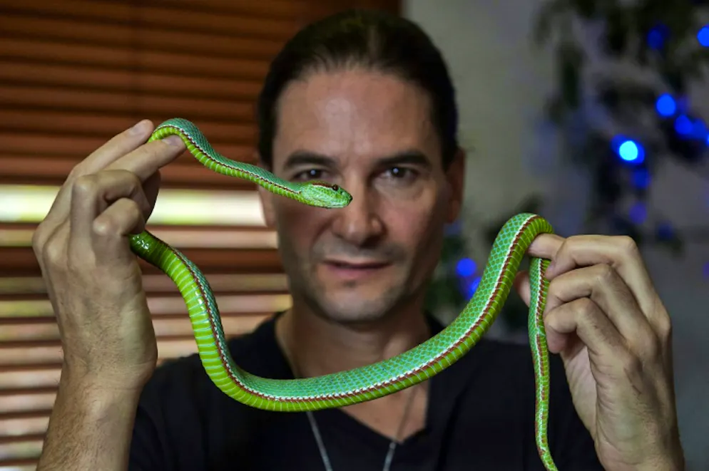 Londres: Steve Ludwin, l'homme qui résiste au venin de serpent