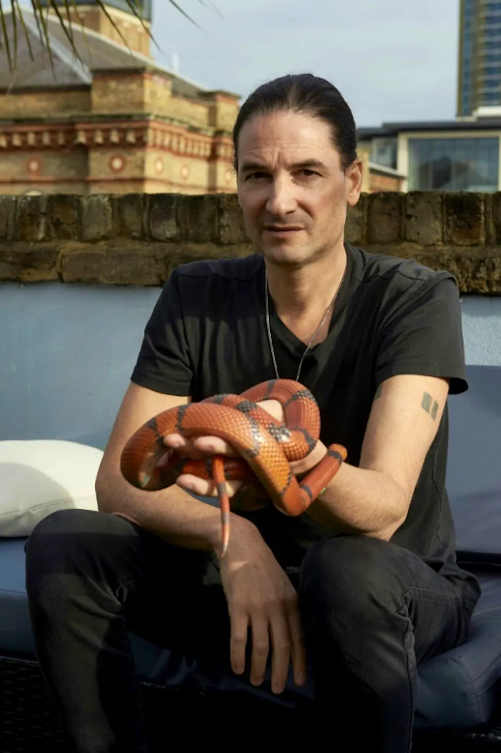Londres: Steve Ludwin, l'homme qui résiste au venin de serpent