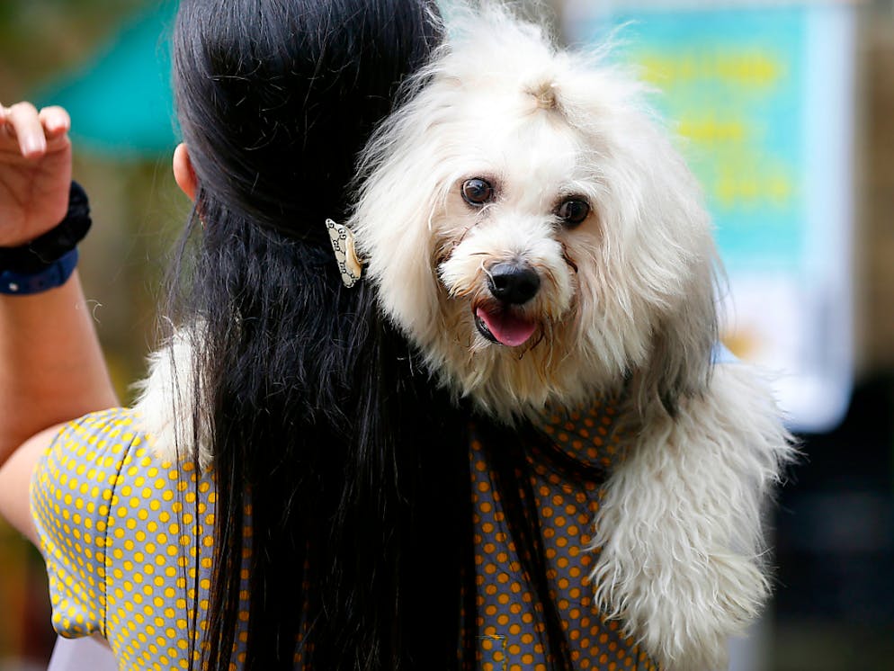 Portami in camera mia!