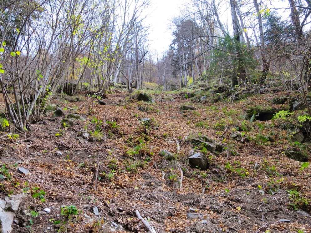 La foto della zona della disgrazia diffusa dalla polizia grigionese