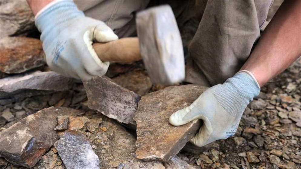 LIA, un ricorso è accolto. La sentenza è impugnabile al Tribunale federale