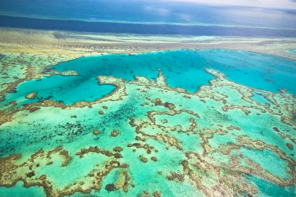 Inscrite au patrimoine mondial de l'Unesco en 1981, la Grande barrière s'étend sur environ 345.000 km2 le long de la côte australienne et constitue le plus vaste ensemble corallien du monde.