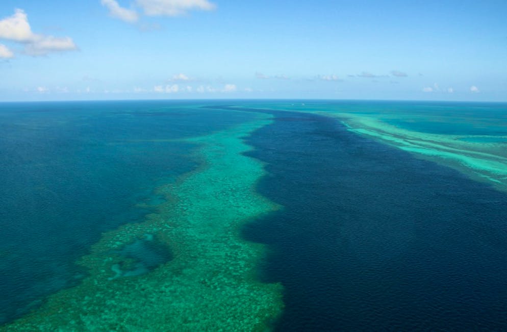Le défi de l'Australie aux chercheurs: sauver la Grande Barrière de corail. Vue aérienne de la Grande Barrière de corail au large des Iles Whitsunday, le 20 novembre 2014 en Australie