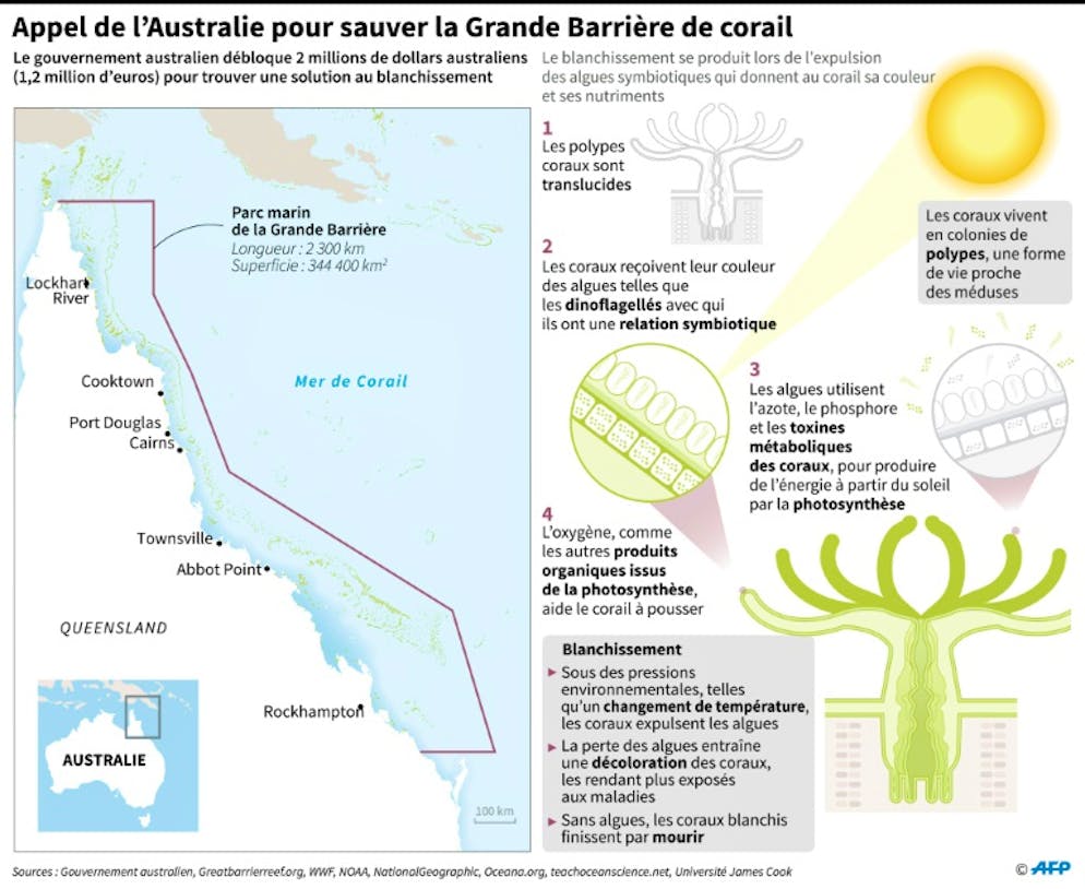 Le défi de l'Australie aux chercheurs: sauver la Grande Barrière de corail. Appel de l'Australie pour sauver la Grande Barrière de corail