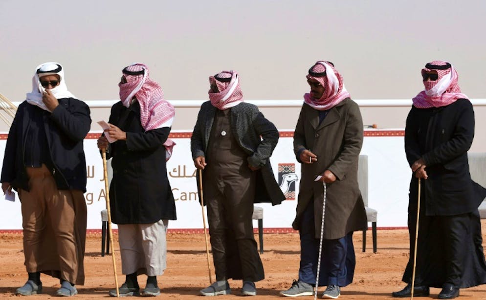 Dans un concours saoudien de chameaux, la beauté sans botox. Des juges saoudiens évaluent la performance des chameaux lors d'un concours de beauté dans le cadre du festival Roi-Abdelaziz à Al-Rumhiya, à 160 km à l'est de Ryad, le 19 janvier 2018