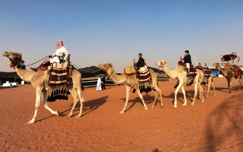 Dans un concours saoudien de chameaux, la beauté sans botox. Des Saoudiens montent à dos de chameau lors du festival Roi-Abdelaziz à Al-Rumhiya, à 160 km à l'est de Ryad, le 19 janvier 2018