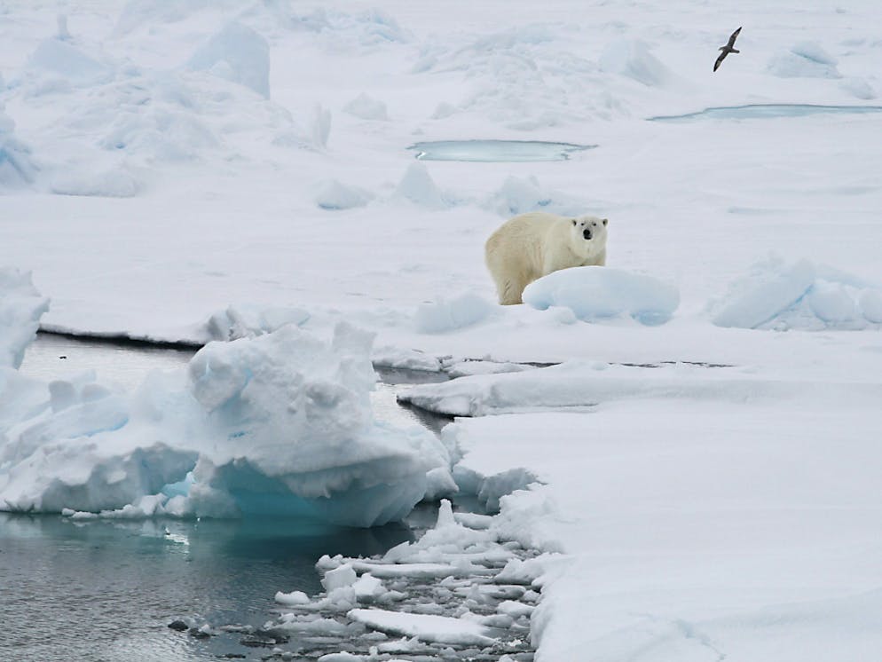 Réunis en Corée du sud, les délégués des Etats de l'ONU se penchent sur le dernier rapport des scientifiques du Giec. Leur constat de la montée des dérèglements climatiques et du retard pris pour les contrer est implacable (photo symbolique).