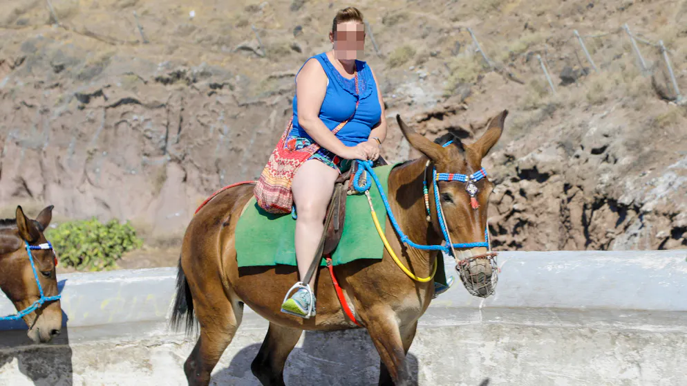 Bilder wie diese sollen auf Santorin künftig seltener werden. Esel darf bald nur noch reiten, wer das Gewichtslimit nicht überschreitet.