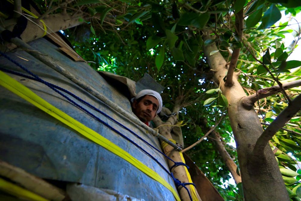 Ahmed Houbeichi pose pour une photo le 4 octobre 2018 dans la cabane qu'il s'est construite dans un arbre en plein Sanaa, capitale du Yémen