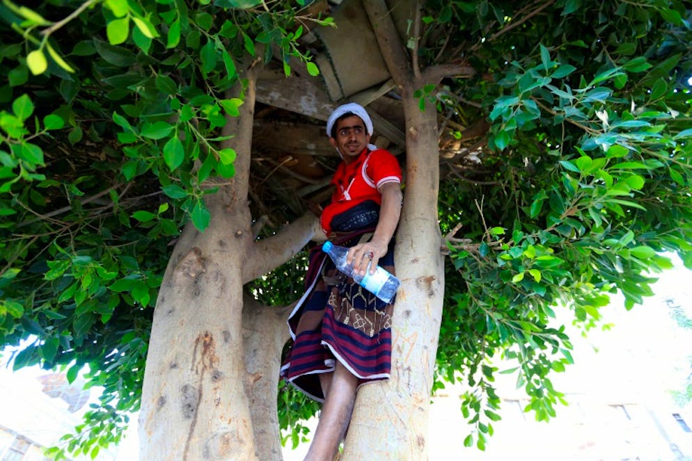Ahmed Houbeichi pose pour la photo le 4 octobre 2018 devant la cabane qu'il s'est construite dans un arbre en plein Sanaa, capitale du Yémen