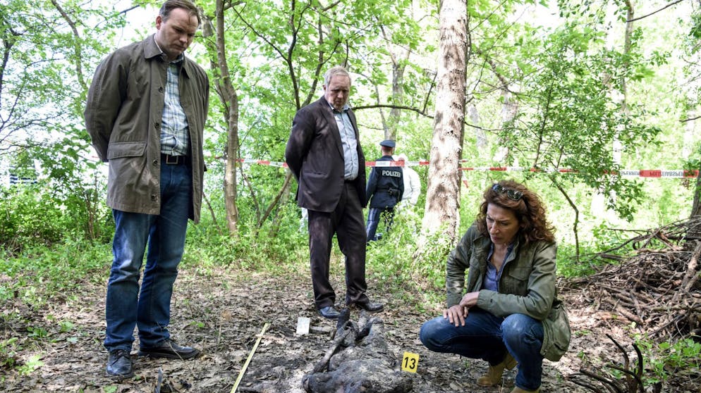 «Tatort» auf Wienerisch: Wer zum Geier ist diese «Marie»?. Eisner (Harald Krassnitzer, Mitte), Fellner (Adele Neuhauser) und Manfred Schimpf (Thomas Stipsits) fragen sich: Wird sich der verkohlte Leichnam identifizieren lassen?