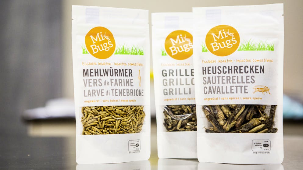 Die Migros hat seit neustem drei verschiedene Arten Insekten im Angebot.