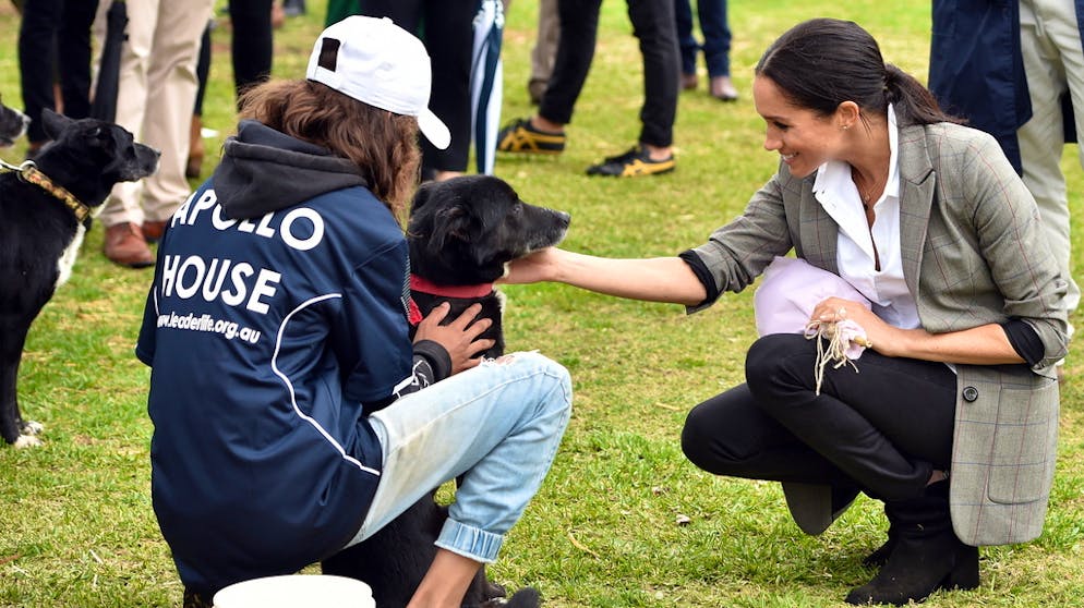 Sieht man da die Vorfreude? Harry und Meghan schwanger in Australien. ... ebenso wie ihre tierischen Verehrer.