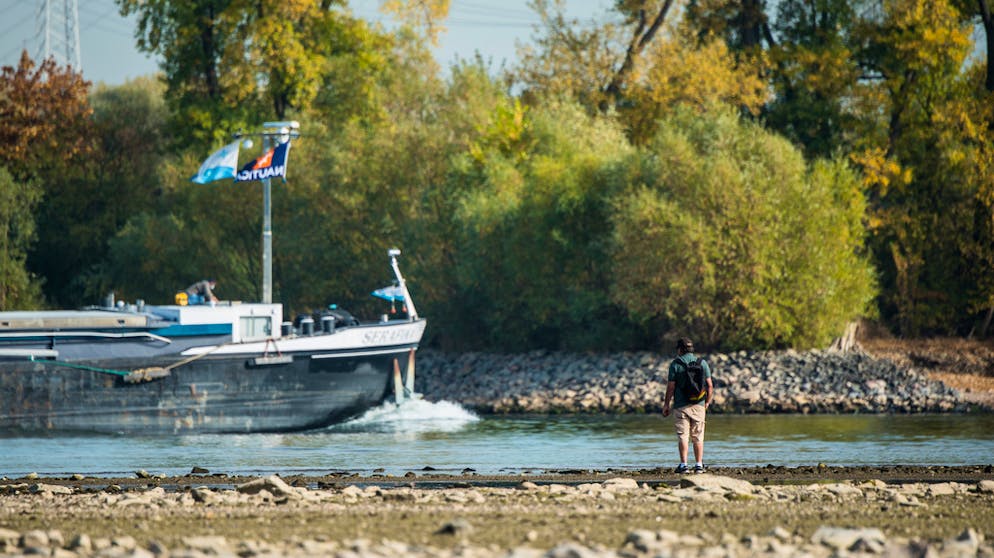 Historisch niedrige Wasserstände in der Schweiz. Wegen der weiterhin anhaltenden Trockenheit steuern die Pegelstände des Rheins auf ein historisches Tief zu. Diese Aufnahme wurde im rheinland-pfälzischen Bodenheim (D) gemacht.