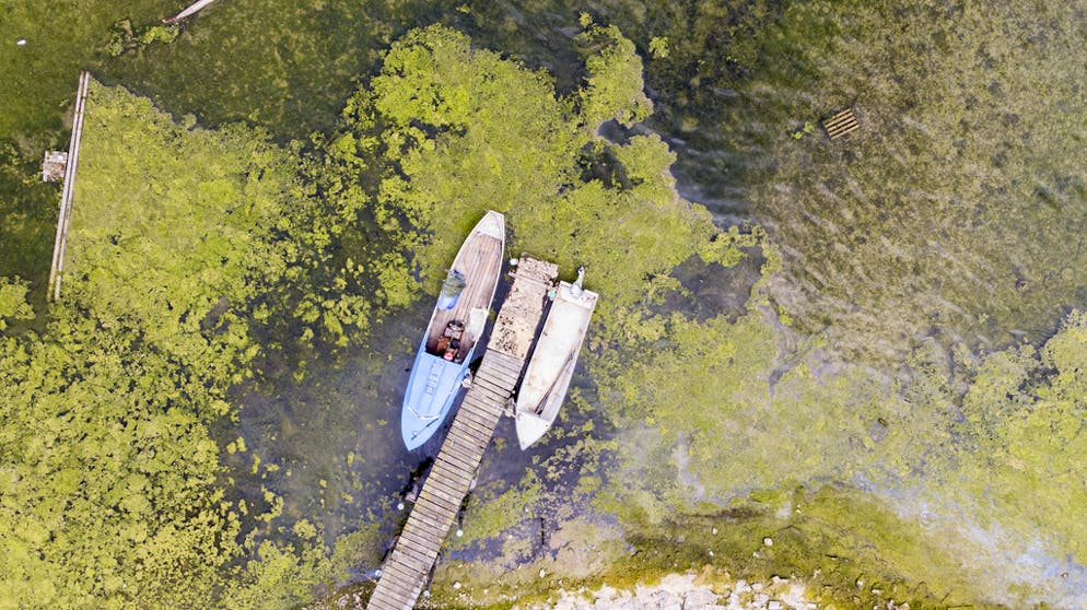 Historisch niedrige Wasserstände in der Schweiz. Ein Ende der Trockenperiode ist derzeit nicht in Sicht.