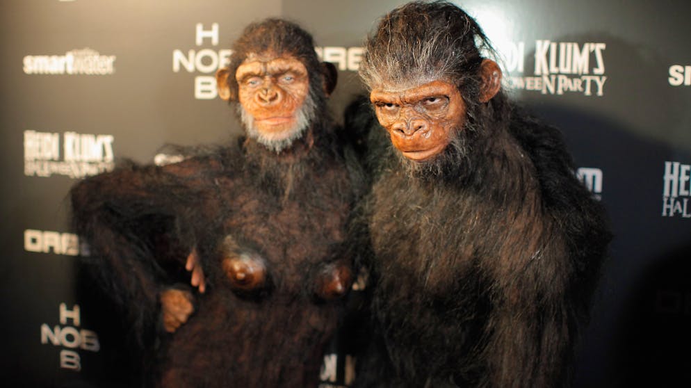 Heidi Klum: Ihre besten Halloween-Kostüme. «Planet der Affen: Prevolution» war einer der erfolgreichsten Filme des Jahres 2011. Und ganz offensichtlich auch Vorbild für die Halloween-Kostüme von Heidi Klum und Seal.