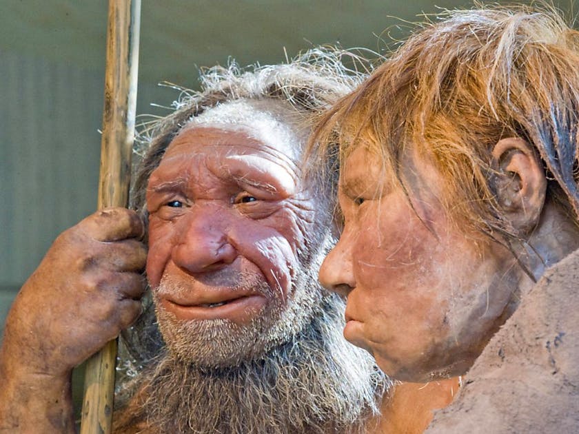 Neue Studie: Neandertaler sahen viel besser aus als bisher angenommen