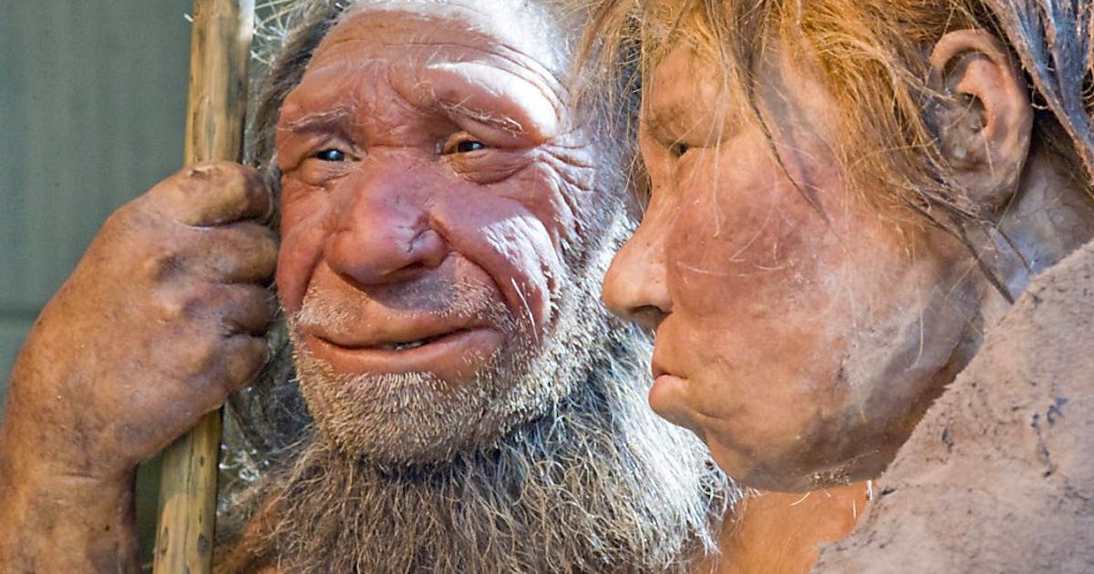 Neue Studie: Neandertaler sahen viel besser aus als bisher angenommen