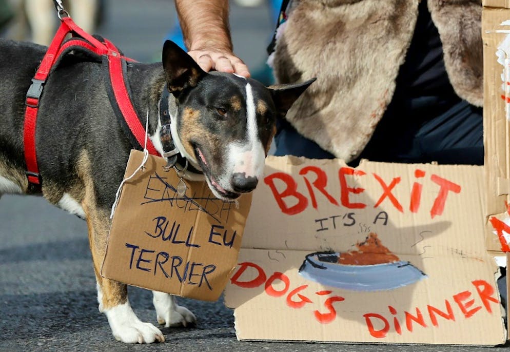 Des propriétaires de chiens et leur animaux domestiques ont manifesté le 7 octobre 2018 à Londres contre le Brexit