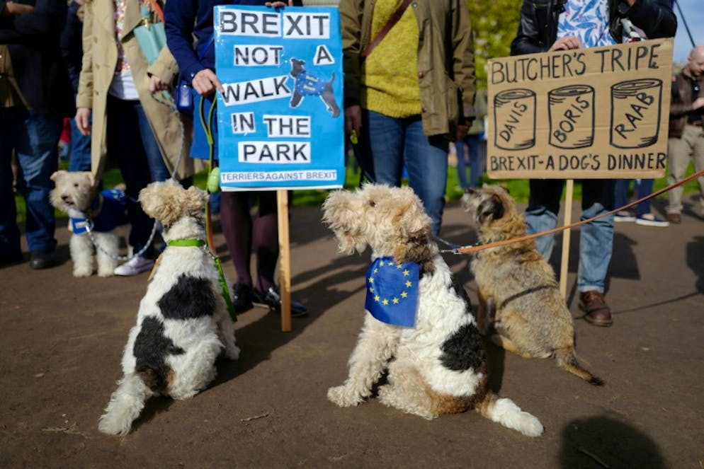 Manifestation contre le Brexit à Londres le 7 octobre 2018 de propriétaires de chiens avec leurs animaux favoris