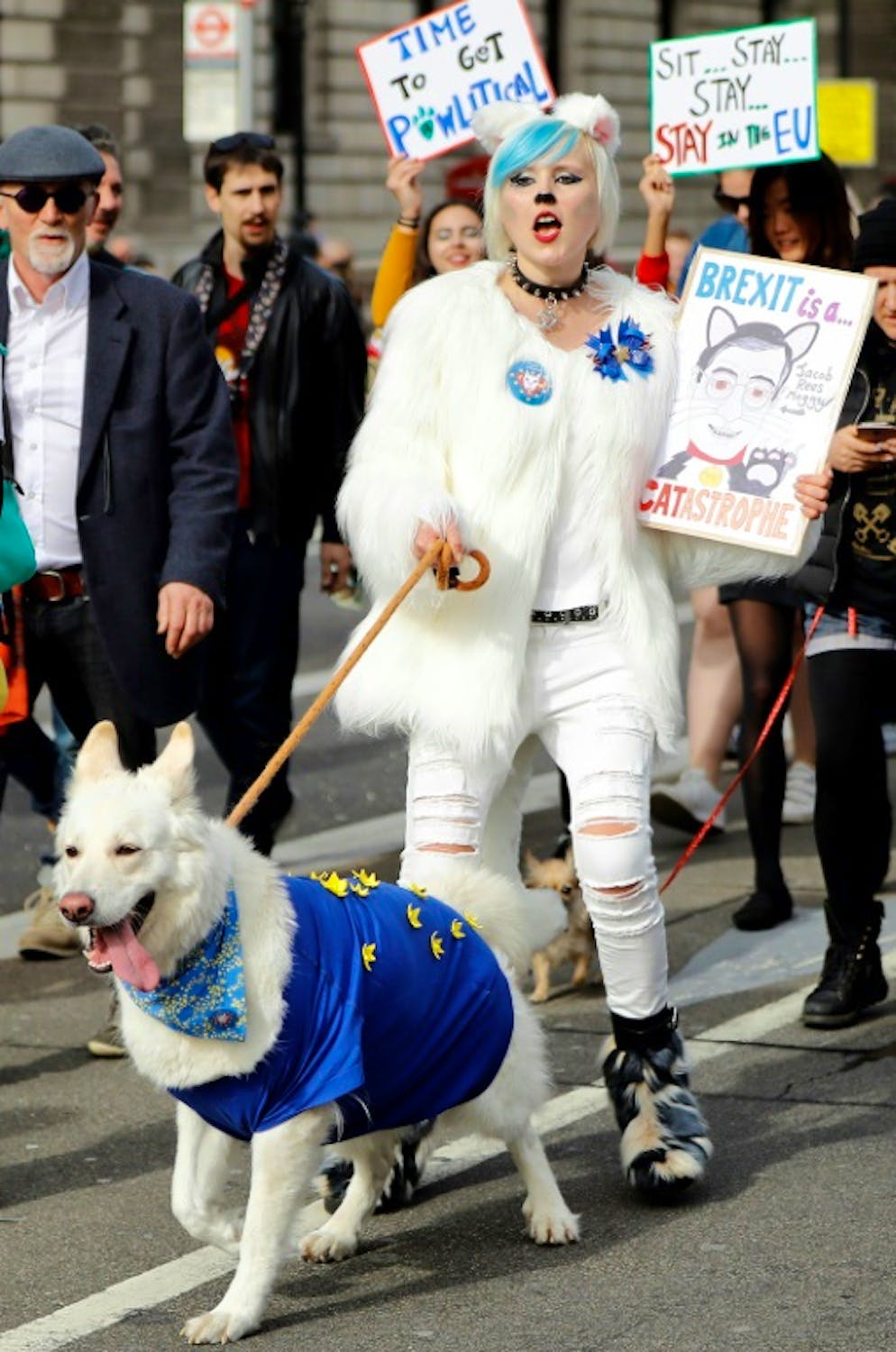 Des propriétaires de chiens manifestent avec leurs animaux le 7 octobre 2018 à Londres contre le Brexit