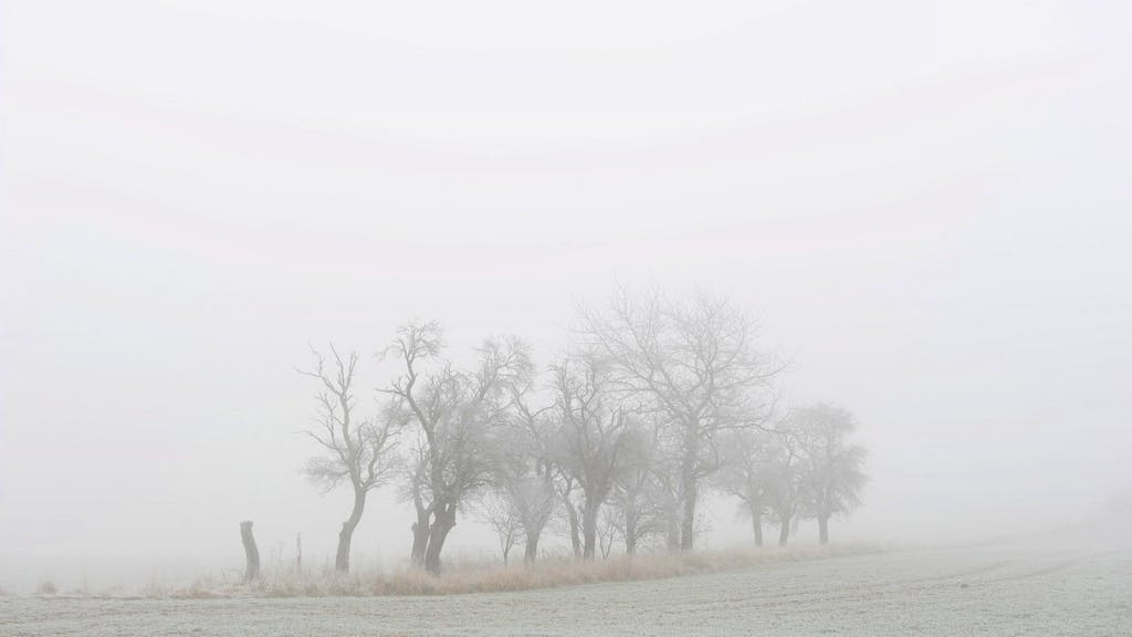 Wetter im November. Die Nebelsuppe drückt auf die Laune – das hilft gegen den Winterblues