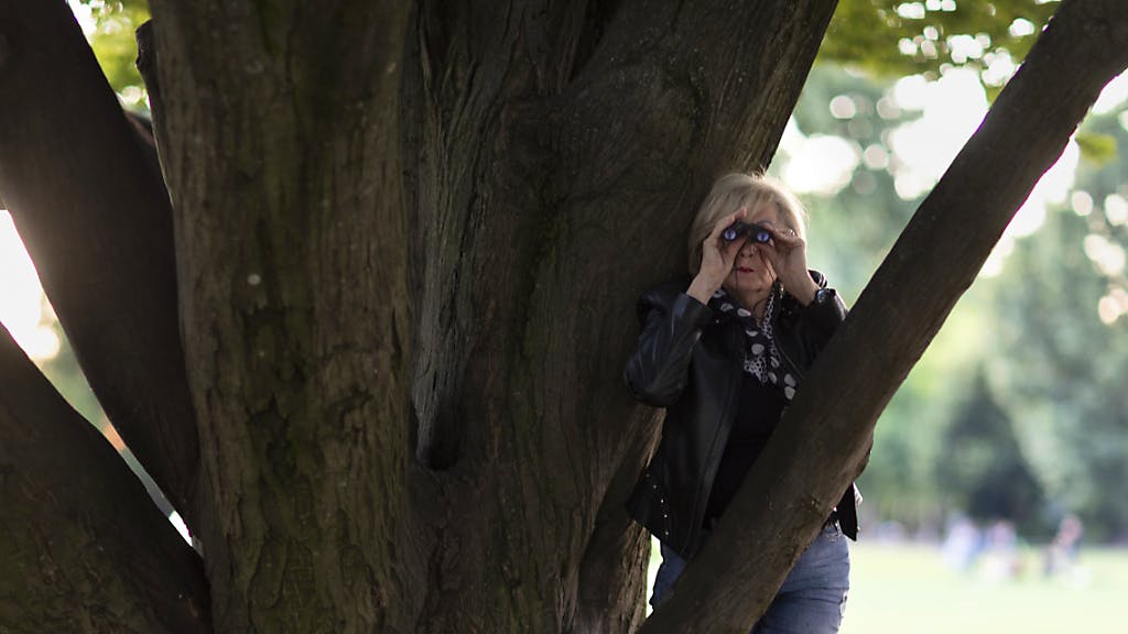 Sozialversicherungen. Grünes Licht für Sozialdetektive