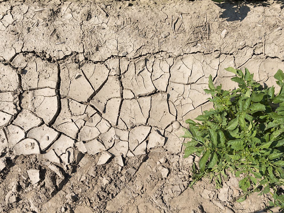 Secondo gli esperti dell'Onu, i paesi dovrebbero triplicare le proprie azioni climatiche per limitare l'innalzamento del termometro mondiale a 2 gradi, e quintuplicarle per riuscire a centrare l'obiettivo, ormai poco probabile, di 1,5 gradi.