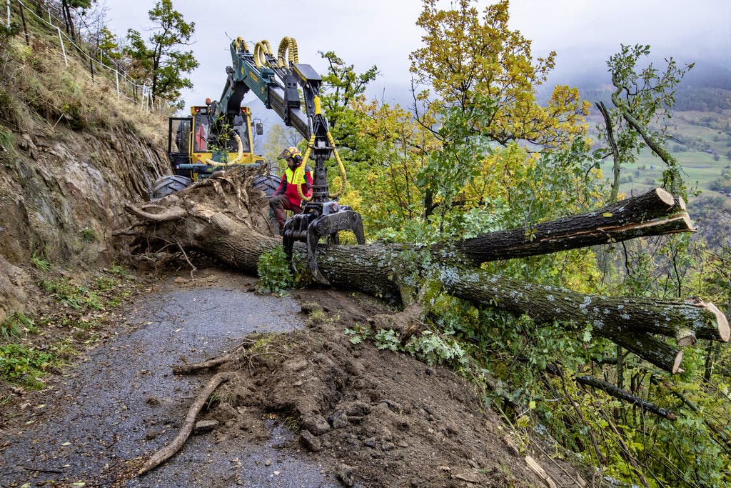 I Danni Della Tempesta Vaia Nei Grigioni