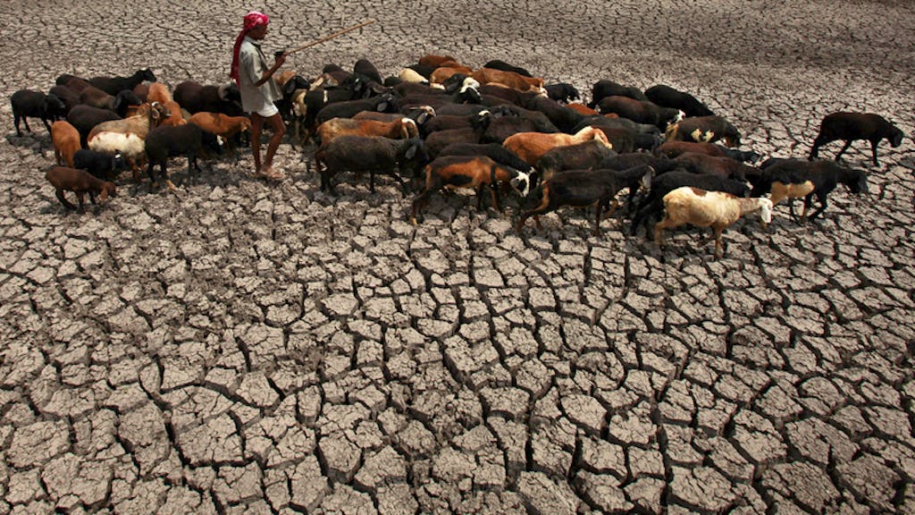 Erderwärmung. Klimawandel hat einstige Experten-Prognosen bereits übertroffen