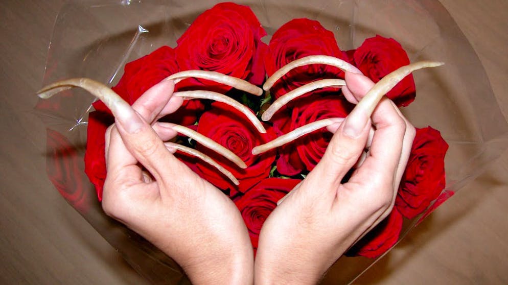 Le unghie più lunghe della Russia. L'estate è indiscutibilmente la stagione preferita da Elena Shilenkova. Malgrado il freddo glaciale della Russia, infatti, non può indossare guanti.