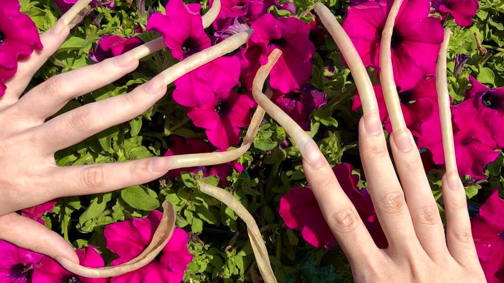 Le unghie più lunghe della Russia. «I movimenti bruschi sono i miei nemici», prosegue la giovane russa. Le sue unghie rischiano di rompersi in caso di urto.