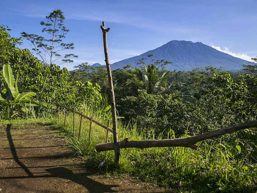 Https Www Sks Tierpark Bildung Lsa De Dat Cms1002015 Images Klasse95 Pdf