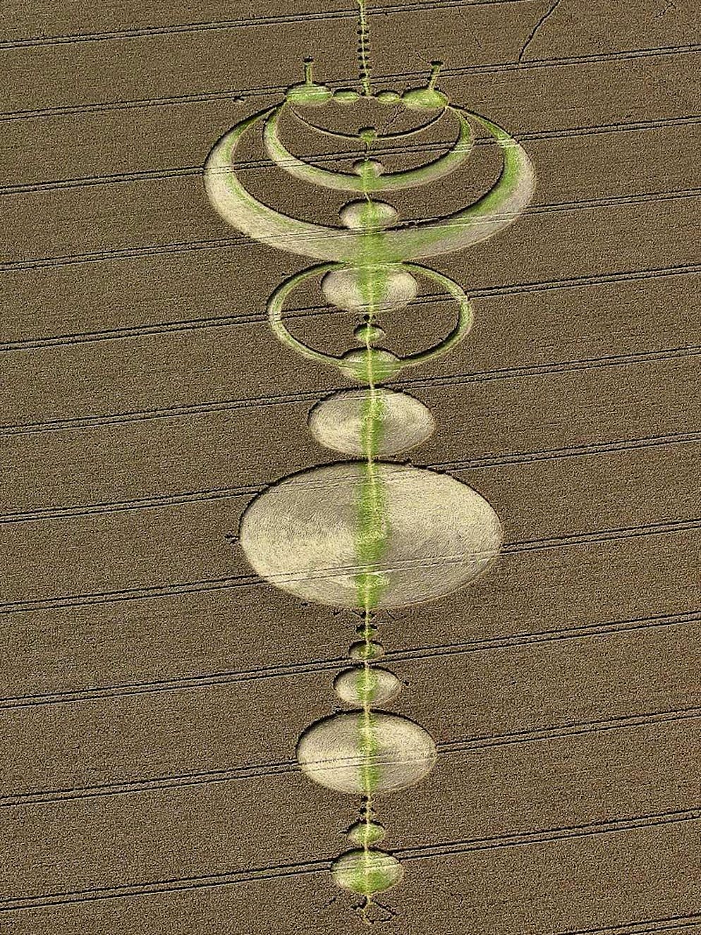 Mysteriöse Wesen und Erscheinungen. Kornkreis im britischen Wiltshire im Jahr 2004: Jährlich werden angeblich zwischen 150 und 300 Kornkreise gemeldet, zumeist aus Südengland. Für das Phänomen werden unter anderem Aliens, Pilze, Mikroorganismen oder Luftwirbel verantwortlich gemacht - einzig wissenschaftlich nachgewiesene Ursachen waren bis jetzt jedoch menschliche Spassvögel.