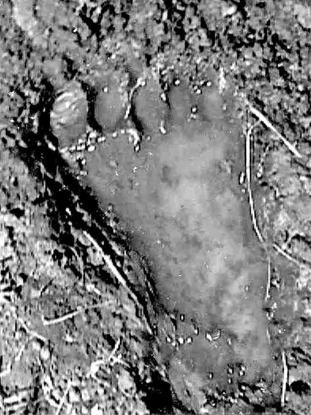 Mysteriöse Wesen und Erscheinungen. Gesichert ist hingegen, warum das Wesen seinen Namen bekam: Es wurden angeblich Spuren seines gigantischen Plattfusses gesichtet.