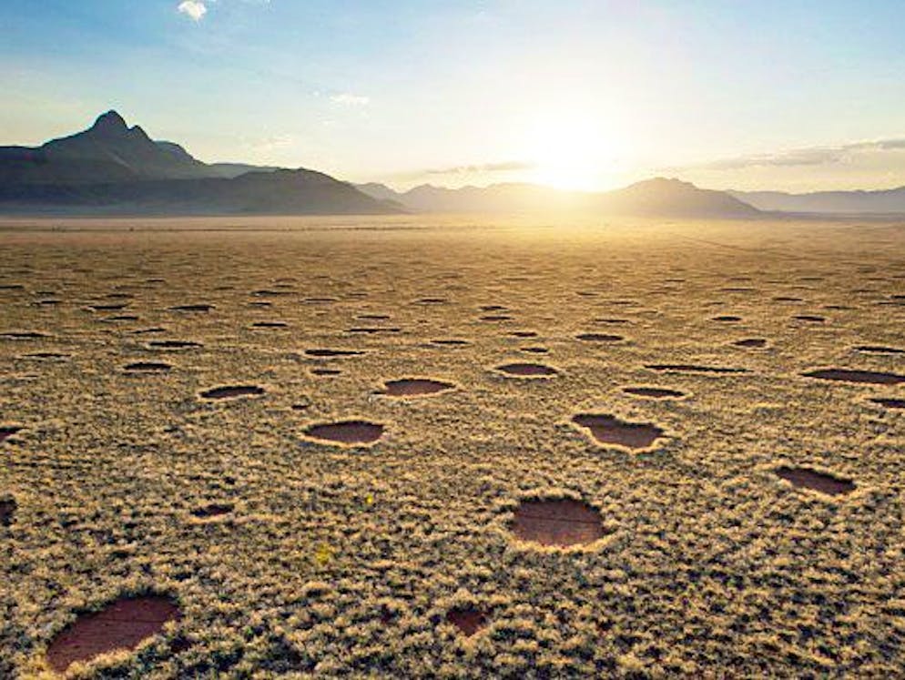Mysteriöse Wesen und Erscheinungen. Rund und rätselhaft: Sogenannte Feenkreise in der Savanne Afrikas. Erstmals haben Forscher die Strukturen nun ausserhalb Afrikas gefunden - und meinen endlich eine Erklärung für das Phänomen gefunden zu haben. Weitere mysteriöse Erscheinungen und Wesen stellen wir auf den folgenden Seiten dieser Galerie vor.