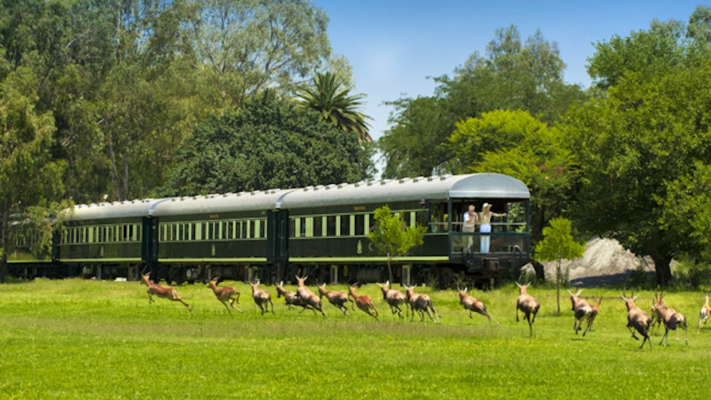 Luxus auf Schienen. Der schönste Zug der Welt: Mit dem «Rovos Train» durch Afrika