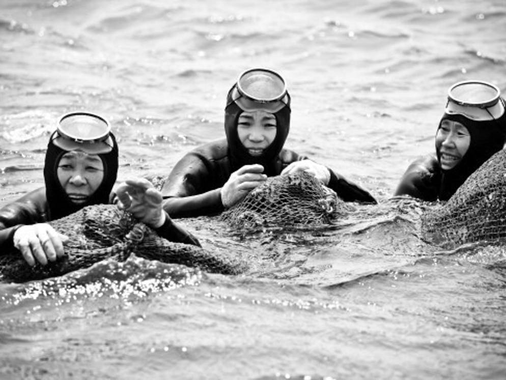 Sirene sudcoreane. Malgrado l’età avanzata, sono ancora capaci di performance sportive impressionanti. Possono ad esempio trattenere il respiro fino a quattro minuti, grazie unicamente ai loro polmoni.