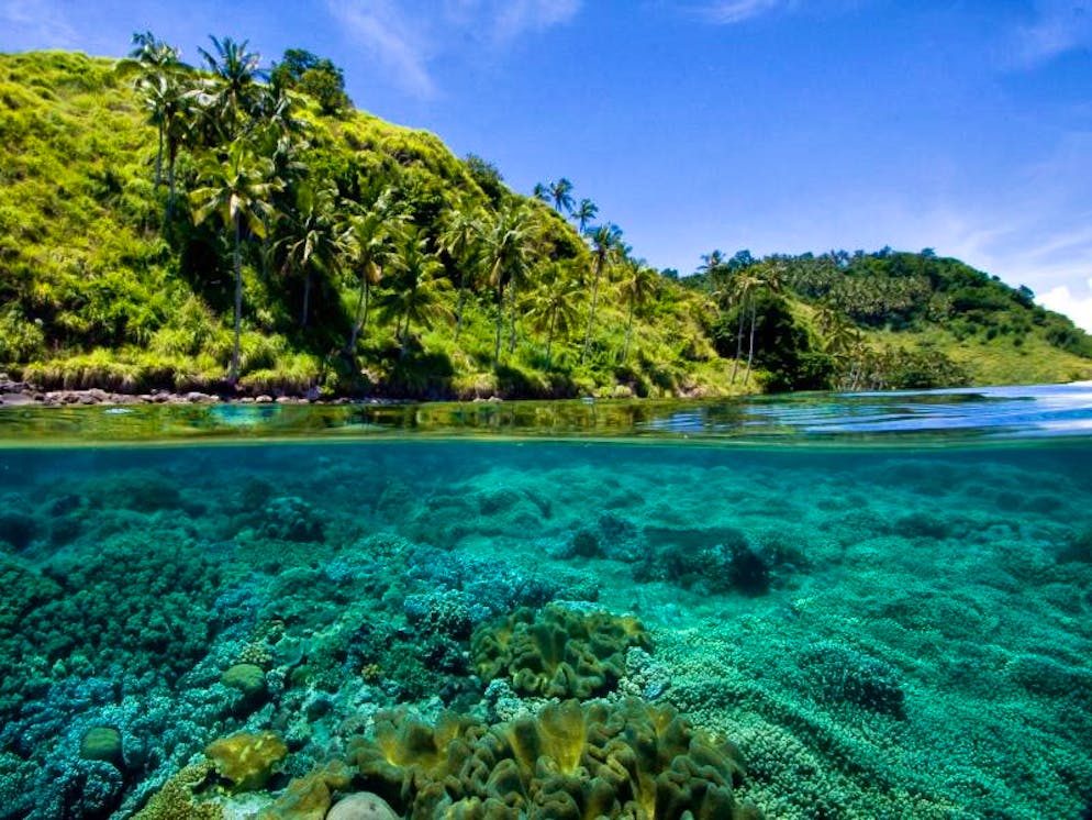 Wie eine Filmkulisse: Inselhüpfen rund ums paradiesische Palawan. Über und unter Wasser: Die Landschaft in Palawan ist abwechslungsreich und wunderschön.