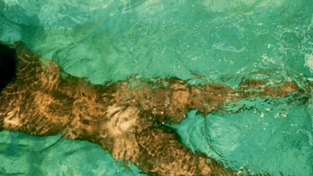 Aktfotografie. Wildes Leben: Der Schweizer Künstler Pierre Keller (73) in New York