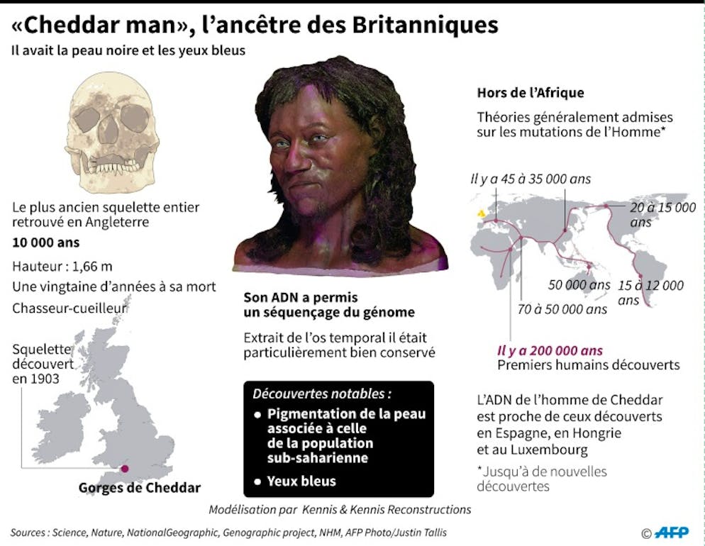 L'étonnant portrait de l'ancêtre des Britanniques vieux de 10.000 ans. L'ancêtre des Britanniques