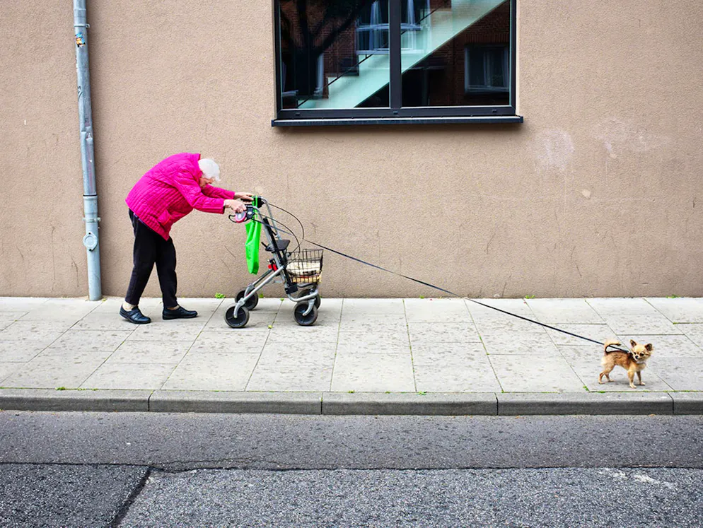 «Sony World Photography Awards»-Les meilleures photos. Manuel Armenis, Allemagne: «Old Friends». Malgré son âge et sa fragilité, la vieille dame la plus sympathique du quartier, flanquée de son chien, sème la bonne humeur autour d’elle. Catégorie: Open, Street Photography. 