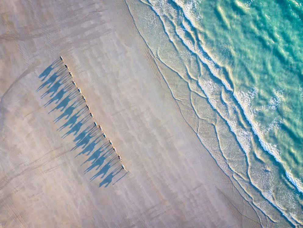 «Sony World Photography Awards»-Les meilleures photos. Jonas Börnicke, Allemagne: «Slow Sunset». Le coucher de soleil est encore plus beau sur la plage australienne de Cable Beach lorsque des chameaux s’invitent sur la photo. Catégorie: Open, Travel. 