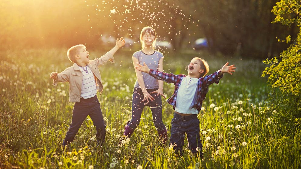 Superfoods: Heimische Alternativen zu den exotischen Nährstoffbomben. Doch warum in die Ferne schweifen? Denn der heimische Löwenzahn macht nicht nur gute Laune, sondern auch gesund. 100 Gramm davon decken bereits 20 Prozent des Tagesbedarfs an 17 wichtigen Nährstoffen.