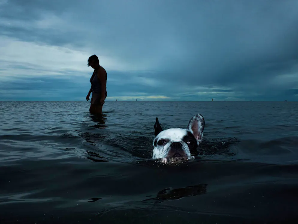 «Sony World Photography Awards»-Les meilleures photos. Thanasorn Janekankit, Thaïlande: «004.jpg». Dans le sud de la Thaïlande, une touriste renvoie son chien sur la plage. Catégorie: Open, Street Photography. 