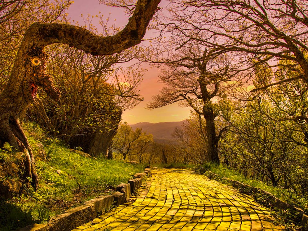 Schluss mit lustig: Diese Freizeitparks sind wirklich gruselig. Im «Land of Oz, North Carolina, kommt immerhin Märchenstimmung auf. Der Park öffnete 1970 und schloss schon 10 Jahre später.