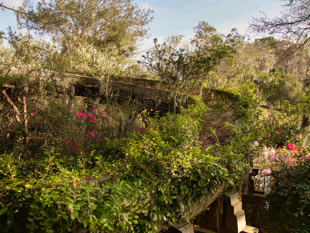 Schluss mit lustig: Diese Freizeitparks sind wirklich gruselig. «Disney's River Country water park» in Florida eröffnete 1976 und schloss schon 2001 wieder die Tore. Disney hat bis heute versäumt, die Hinterlassenschaftzen zu beseitigen. In die Schlahzeilen geriet der Park in den frühen 1980ern, nachdem ein Bub starb, nachdem er sich eine seltene Amöbe eingefangen hatte, die durch die Nase ins Hirn wanderte.
