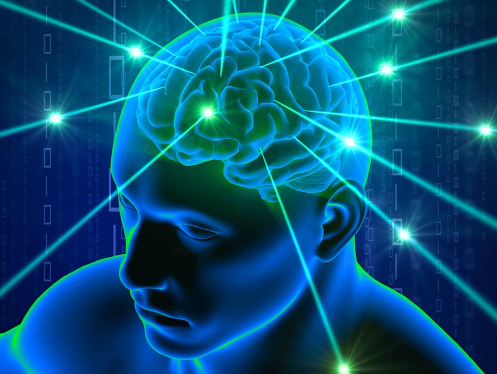 Junger Milliardär will sich töten lassen, um «ewig zu leben». Das Start-Up Nectome - ebenfalls aus den USA - verspricht, die Erinnerungen im menschlichen Gehirn eines Tages ins Internet hochladen zu können.